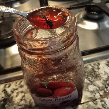 A101 Gıda Güvenliği Konusunda Endişeler