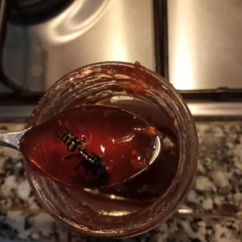 A101 Gıda Güvenliği Konusunda Endişeler