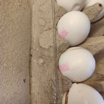 2 Gündür Kırdıkları Yumurtaları Değiştiremeyen Migros