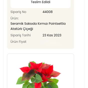 İstanbul Çiçekleri Sipariş Alıcıya Ulaşmadı