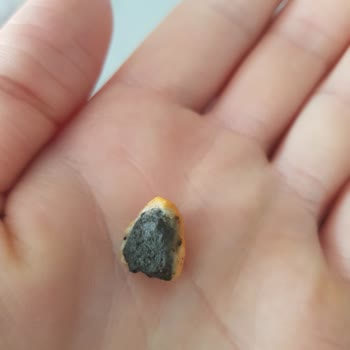 Çerezya A101 Soslu Mısır Paketinden Çıkan Madde