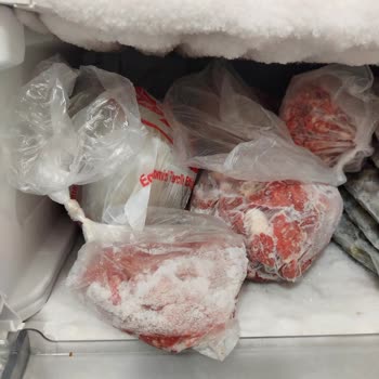 Arçelik Dondurucu Aşırı Karlanma Yapıyor