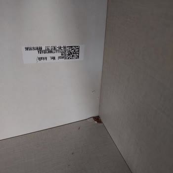 Bellona Loretto Koltuk Takimi Üretim Hatası