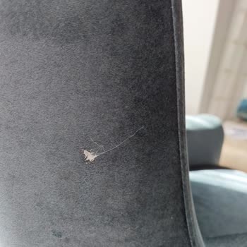 Bellona Loretto Koltuk Takimi Üretim Hatası