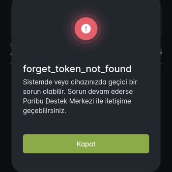 Paribu Hesabıma Erişemiyorum Şifre Yenilemede Kabul Etmiyor