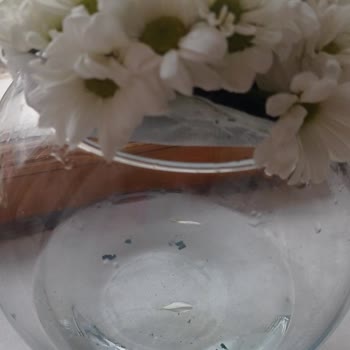 ÇiçekSepeti Hayal Kırıklığına Uğratan Çiçek Siparişi
