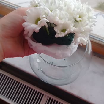 ÇiçekSepeti Hayal Kırıklığına Uğratan Çiçek Siparişi