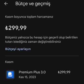 Busuu İzinsiz Paramın Çekilmesi!