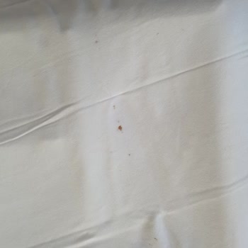 Ebebek Üzeri Kanlı Ve Kullanılmış Battaniye Gönderdi.