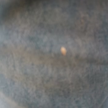 Koton Giyilmiş Ürünleri Satıyor