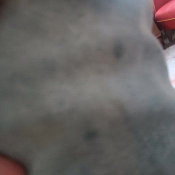 Koton Giyilmiş Ürünleri Satıyor