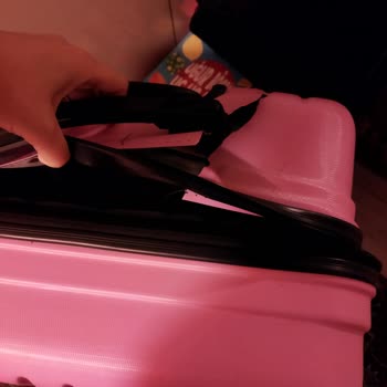 İzmir SAW Pegasus Valizin Kırılması Problemi