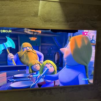 Samsung Samsun Frame TV Panel Arızası