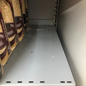 Migros Mağazasında Fare Var