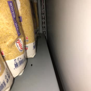 Migros Mağazasında Fare Var