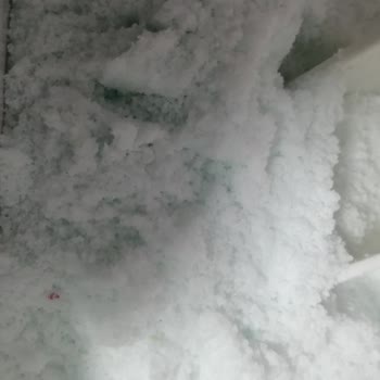 Bingo Matik Mutlu Yuvam Deterjan