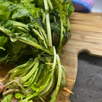 Carrefour Markette Rokanın İçinden Salyangoz Çıktı