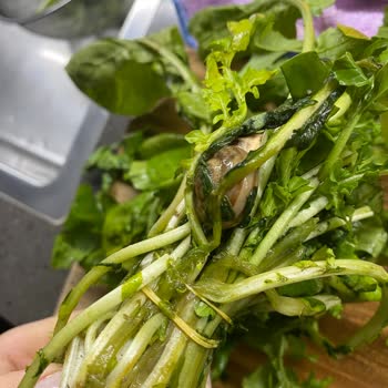 Carrefour Markette Rokanın İçinden Salyangoz Çıktı