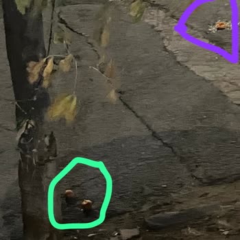 Aras Kargo Kargom Neden Gecikti?