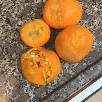 Aras Kargo Kargom Neden Gecikti?