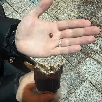 Ekleristan Vişneli Ekler İçinden Çıkan Çekirdekler
