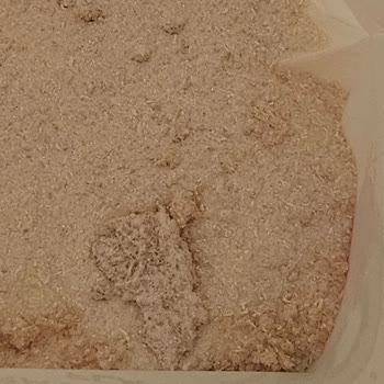 Bpn Protein Tozu Beton Tozu Katılaşma Sorunu