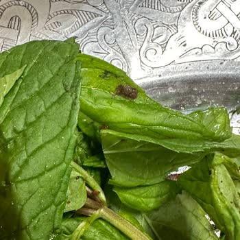 Bişirici Kebap Asık Suratlı Personel, Hijyenik Olmayan Yemek