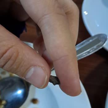 Hayrettin Karaman Kyk Kız Öğrenci Yurdu'nda Yemekten Taş Çıktı