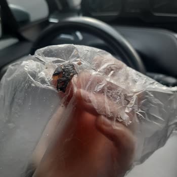 Erşan Et Kavurma İçinden Hayvan Parçası Çıktı