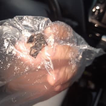 Erşan Et Kavurma İçinden Hayvan Parçası Çıktı