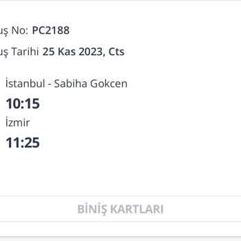 Pegasus Kaybolan Bagajım İçin Sorumluluk Kabul Edilmiyor.