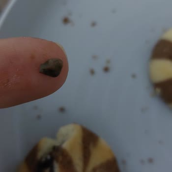 Eti Gıda Bisküvi Paketinde Beklenmedik Bir Madde Bulundu