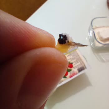 Uğuray Süt Mamülleri Kaşar Peyniri İçinden Sinek Çıktı!