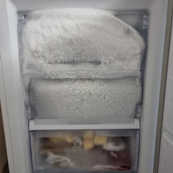 Beko "Ne Halimiz Varsa Görelim Mi", "Evet"