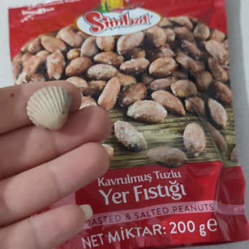 Simbat Tuzlu Fıstığın İçinden Deniz Kabuğu Çıktı