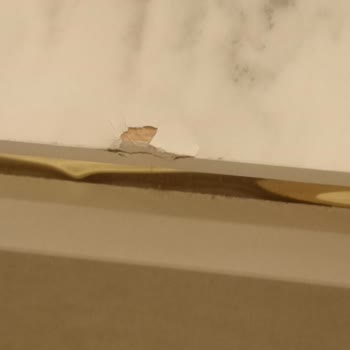 Gratis İade Parası Yatmadı