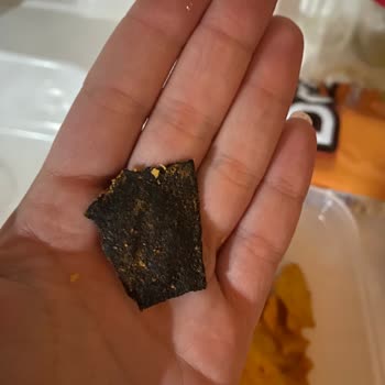 Doritos'un İçindeki Yabancı Cisim