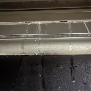 Albert Genau Statü Su Alıyor