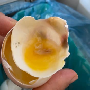 BİM Çürük Yumurta Hayal Kırıklığı!