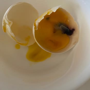 BİM Çürük Yumurta Hayal Kırıklığı!