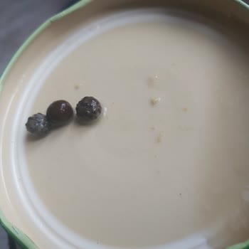 Tamek Garnitür İçinden Değişik Bir Şey Çıkması