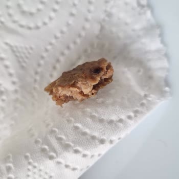 Namet Burger Kıl Sorunu