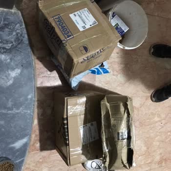 Maskotpet Firmanın Sokak Hayvanlarını Mağdur Etmesi