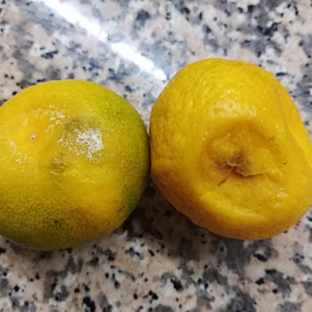Getirin Ürün Kontrol Etmeden Getirmesi