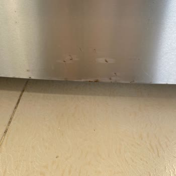 Siemens Buzdolabında Pas Lekeleri.