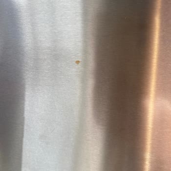 Siemens Buzdolabında Pas Lekeleri.