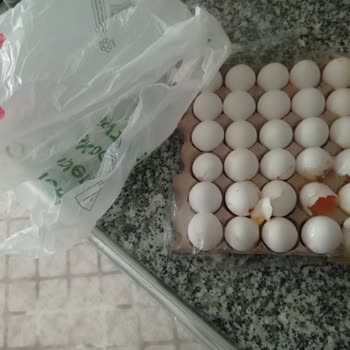 BİM Market Kali Tes İzli Gi