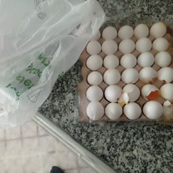 BİM Market Kali Tes İzli Gi