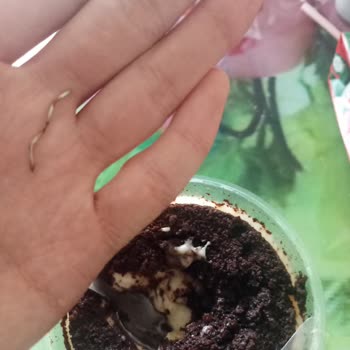 BİM'den Aldığım Özsüt Tramisunun İçinden Metal Tel Çıktı