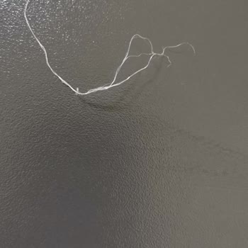 Anadolu Su Böreği Böreğin İçindem Çıkan Beyaz İp